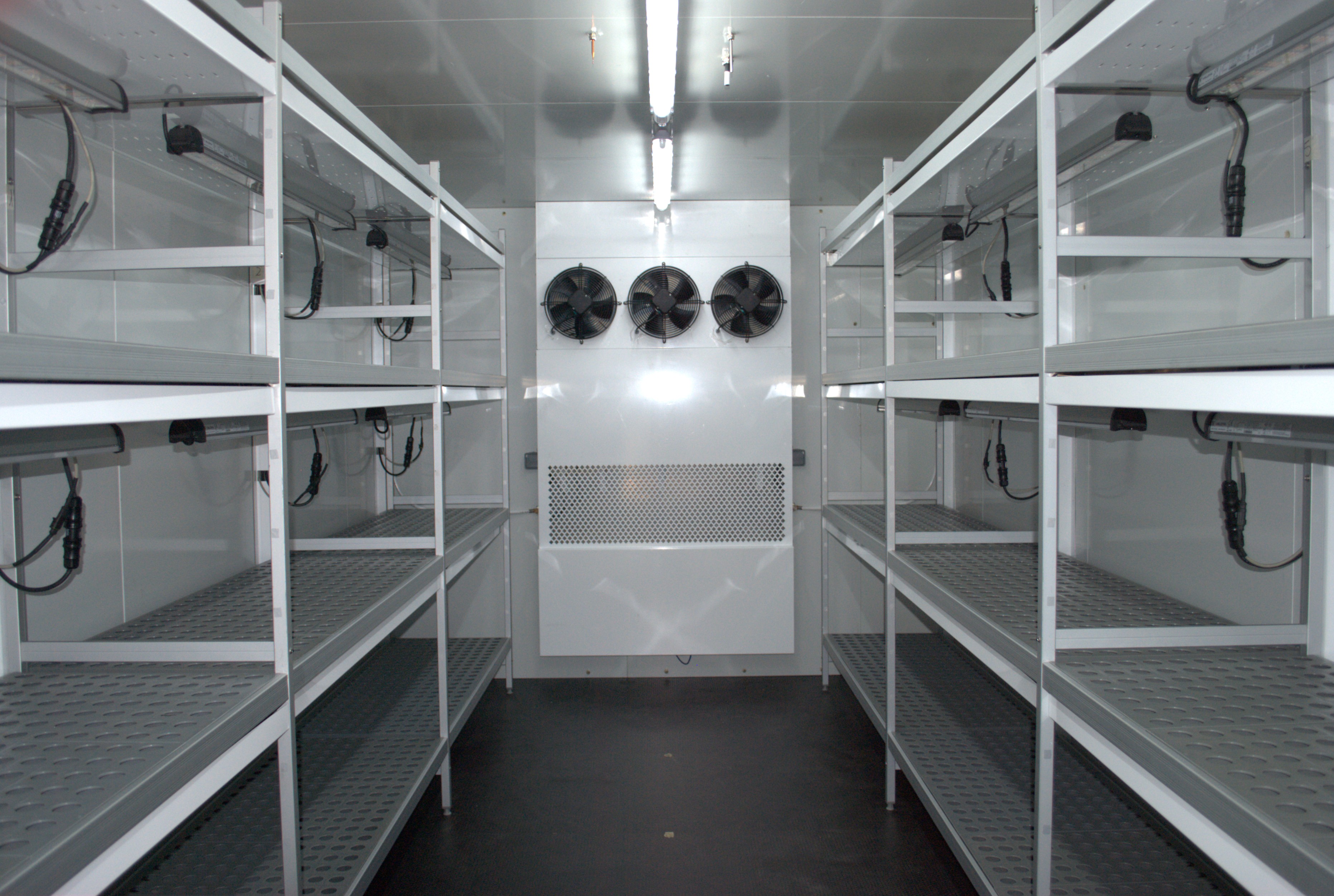 Interior del walk-in