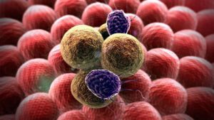Nanopartículas capaces de combatir células tumorales