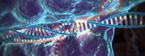 ¿Nueva versión del editor de genes CRISPR?