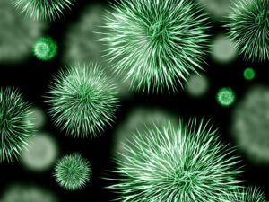 Las bacterias tienen un particular sentido del tacto