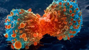 ¿Son eficaces los fármacos contra el cáncer?